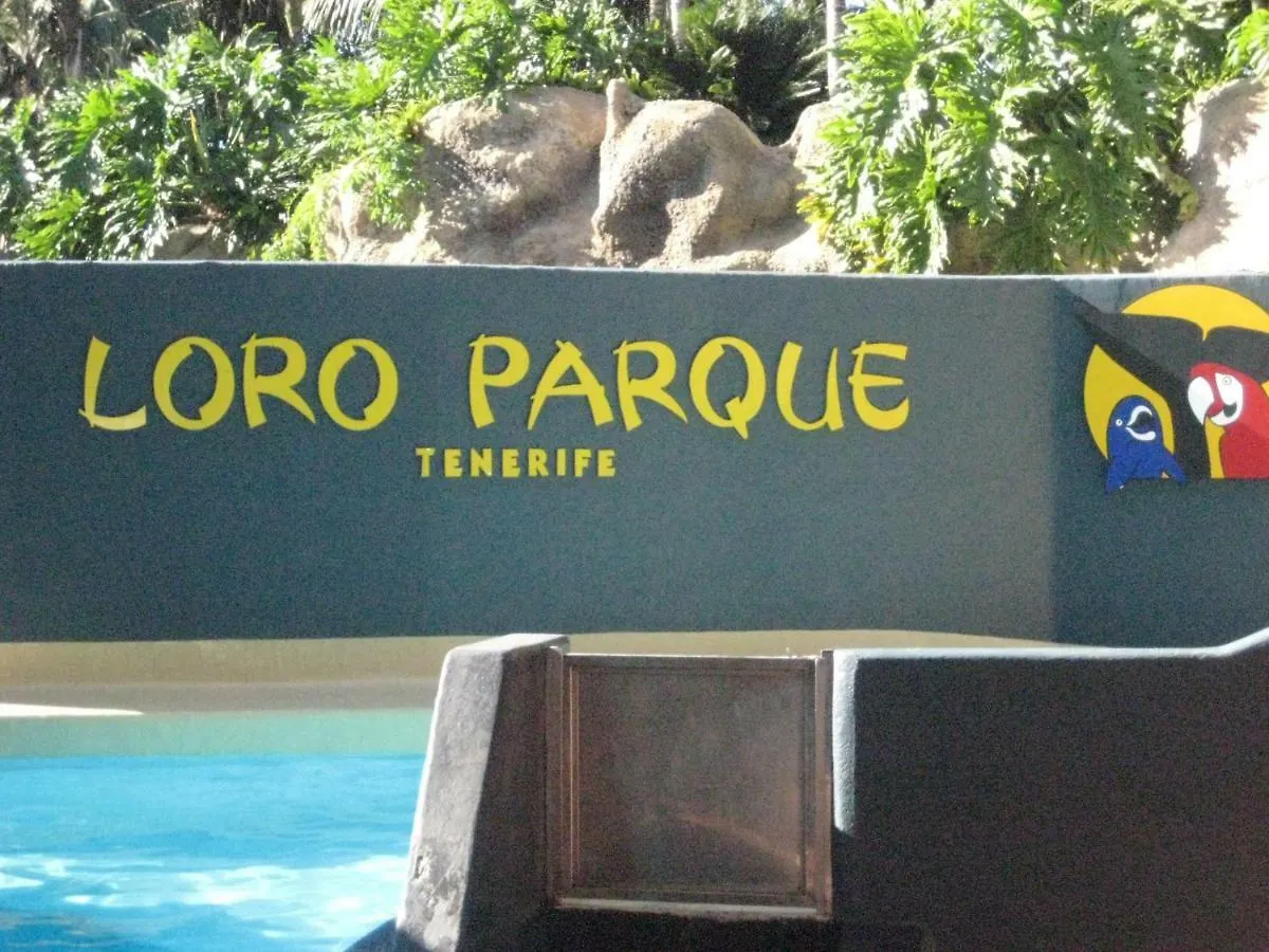 Paula Pool Apartment Adeje 아데제